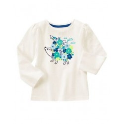 HAPPY BLUEBIRD HEDGEHOG FLOWER N BIRD L/S TOP 2T 3T 4T 5T NWT